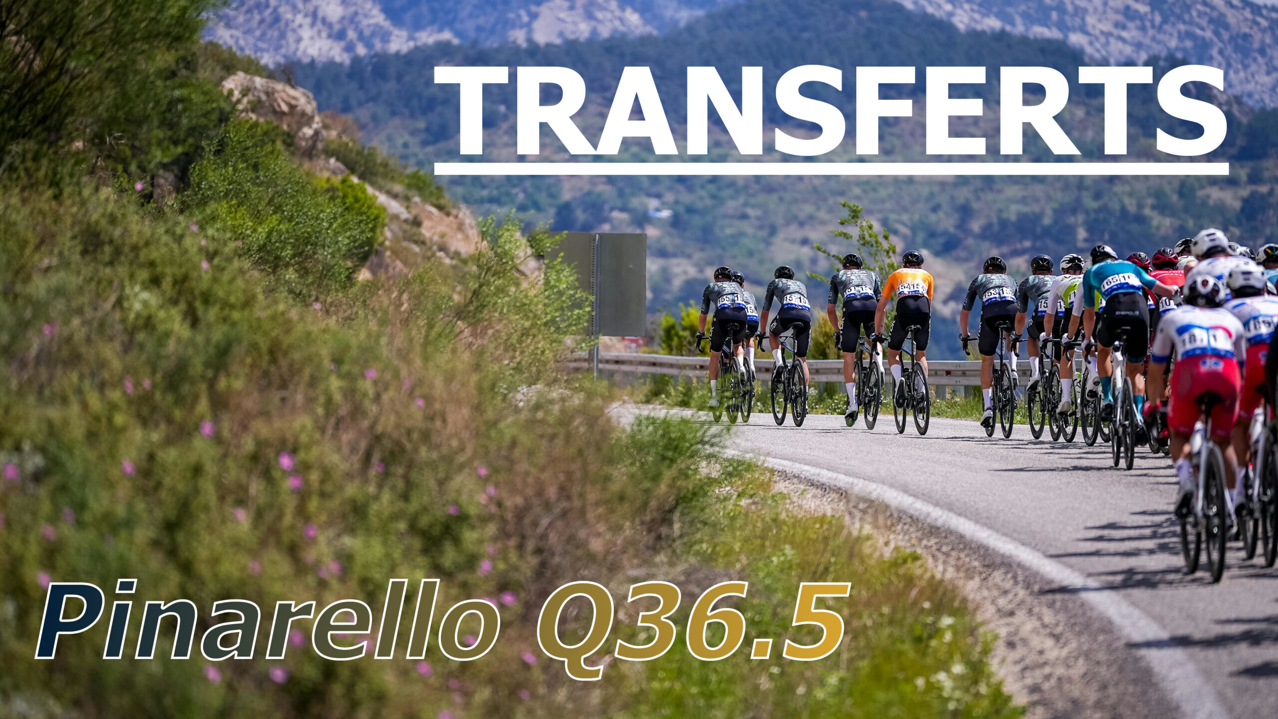 Transferts Pinarello Q36.5, peloton cycliste dans les montagnes