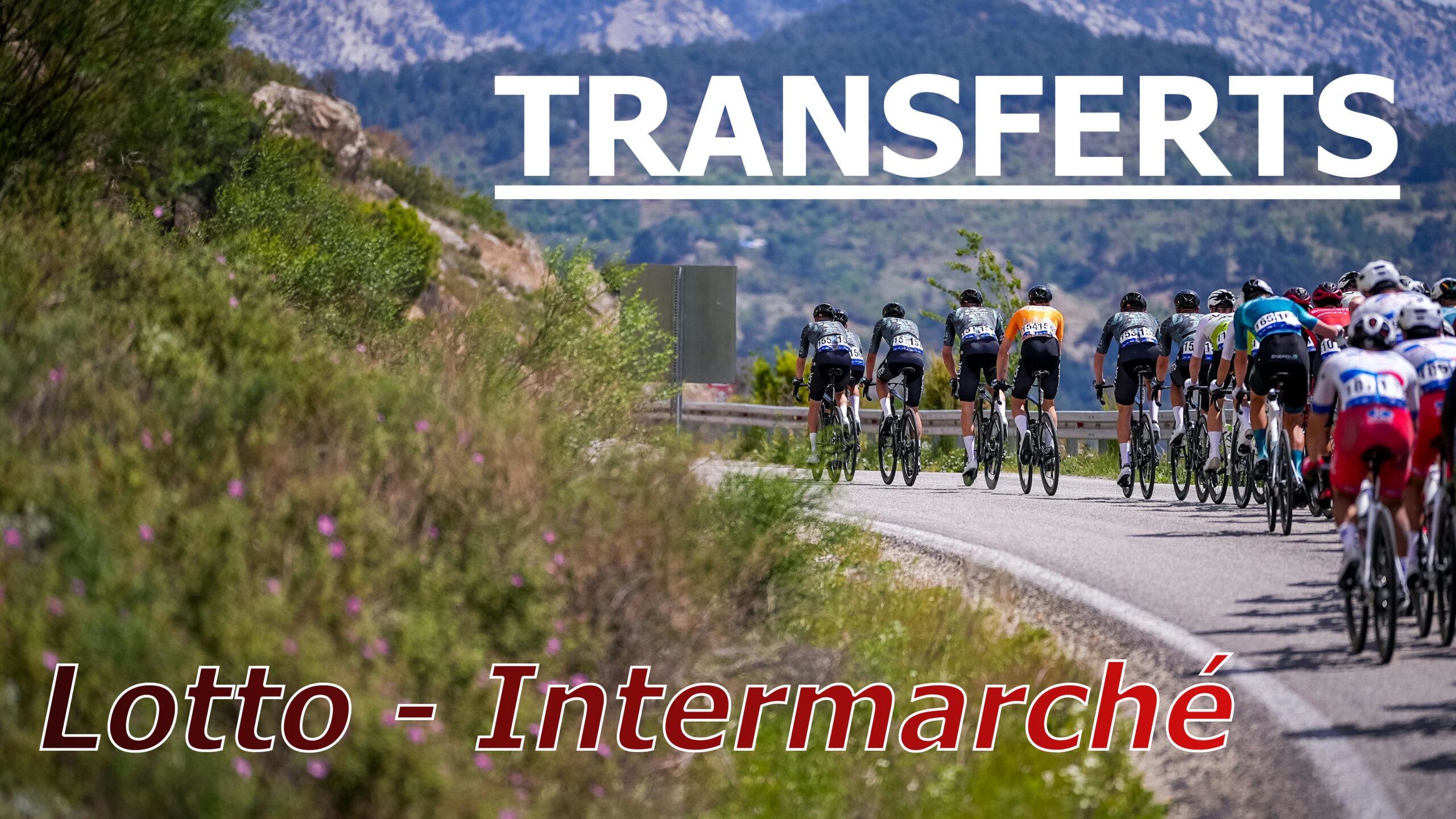 Transferts Lotto - Intermarché, peloton cycliste dans les montagnes